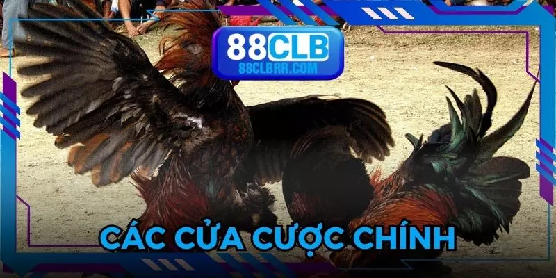 Đa dạng cửa cược chính để lựa chọn